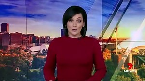 Magpie swooping season is underway and here is proof no-one is immune. A koala was minding its own business, trying to cross the street at Aberfoyle Park, when it became a target. www.7NEWS.com.au Video: Alyssa Caple / Koby Lee Sota #AberfoylePark #7NEWS | 7NEWS Adelaide