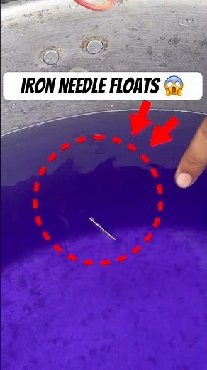 surface tension | children’s science experiment #surfacetension #experiment