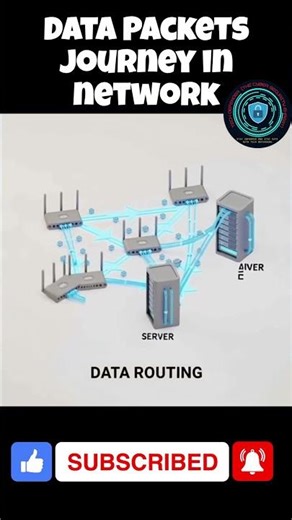 How Data Packets Travel Across a Network ? #DataPackets #InternetWorking #computernetworks #network
