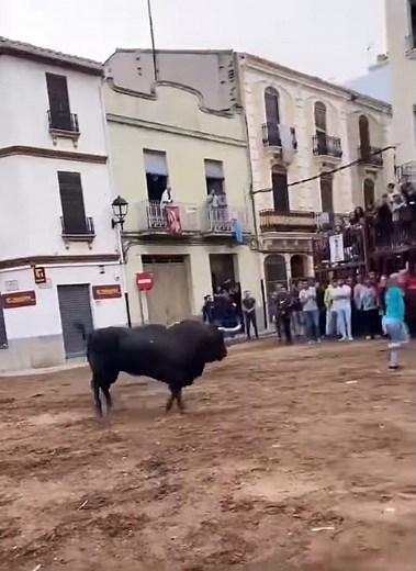 Brave Girl Faces Wild Bull Incredible Recorte in Spanish Bullfighting Arena! #bull #bulldodging