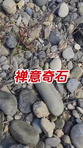玉石石头养护白茶油奇石文玩保养#赏石艺术 #观赏石收藏 #玉石原石 #石头传说 #奇石收藏天然奇石