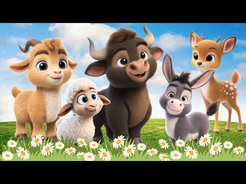 Cute Farm Animal Sounds: Buffalo, Donkey, Sheep, Goat, Sika Deer,...– Animal Video