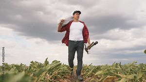 A farmer agronomist walks through a beet field. The agronomist holds a bag with fresh agricultural products on his shoulder. The man is cleaning vegetables in season, sugar beet. Organic food concept.