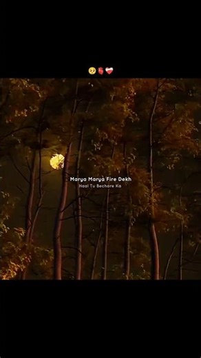 Bairan |Ho Maarya Maarya Phire |Banjaare #song #sad #bairan #viral #new