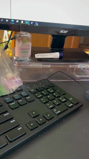 Charming Ginger Cat Takes Center Stage in Cozy Setup