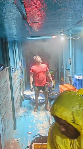 How to stored cuttle fishes in the deep sea fishing boats fish holders|#fishermanlifestyle #mandapammeenavan #fishinglife #trendingreels #viralreels | Mandapam Meenavan