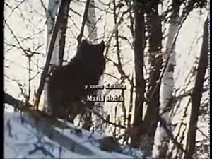 Cuna de Lobos (1987) - Capítulo 85 [Final]