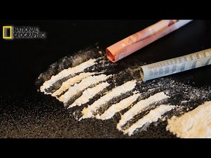 Trafic de cocaïne - Documentaire National Geographic