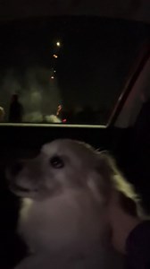 Pip’s ready for new SM r u? | Snail Mail