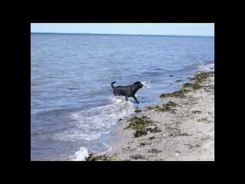 Jean Ferrat, Raconte-moi la mer (Barclay 1967)