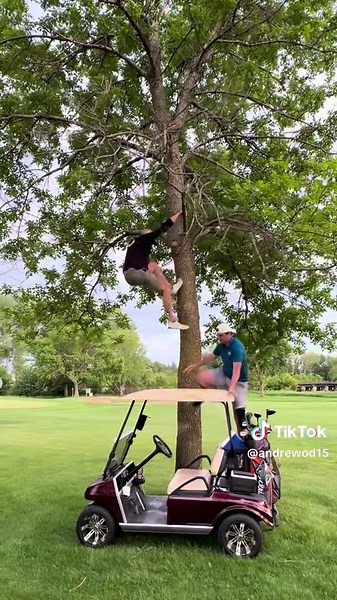 How to Avoid Getting Golf Clubs Stuck in Trees