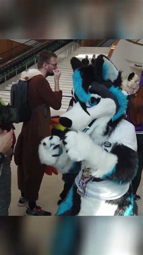 TikTok machen | Eurofurence #28 | 18.-21. September 2024 | #Furry #Eurofurence #EF | Tankii