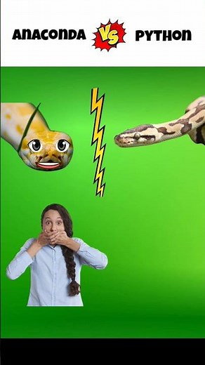 Anaconda Vs Python 😱 | #shorts #snake