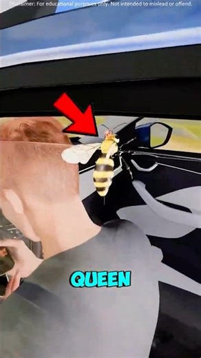 Why Bees Swarm Cars 🐝😱