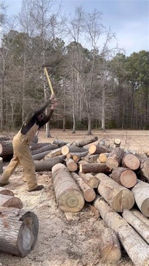 Bucking up some logs for firewood #firewoodbusiness #firewood #fyp #bluecollar
