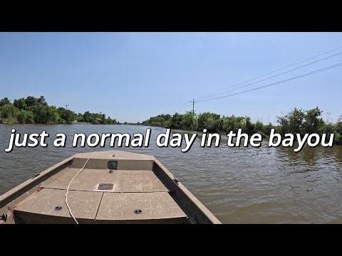 A day on the bayou