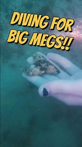 Finding Megalodon Teeth Underwater! #fossilhunting #floridasharkteeth