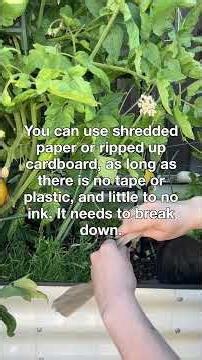 Garden Bed Composting #growyourownfood