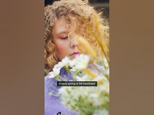 The Calendula Revolution Grow Now CalendulaMagic GardenWisdom CalendulaBenefits facts