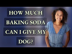 How much baking soda can I give my dog?