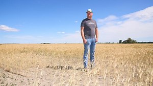 'The saving grace for agriculture': Farmers look to irrigation amid climate woes | CBC News