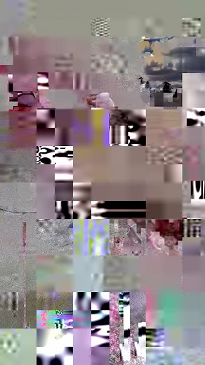 9.5K views · 202 reactions | Pawfecting our craft‍了 Training...