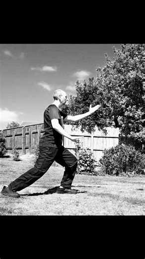 Part the Wild Horse's Mane is a wonderful Tai Chi movement with numerous health benefits. It's a flowing, dynamic exercise that involves mimicking the energetic movements of a wild horse flicking its mane. Here are a few key advantages: Firstly, it helps to improve circulation. Practicing the Wild Horse's Mane offers additional benefits beyond improved circulation. For instance, it's excellent for releasing muscular tension and promoting relaxation throughout the upper body - spine, neck and sho
