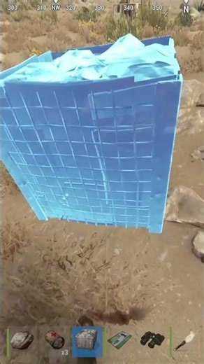 Persigo a un calvo… y todo se complica 💀🪨🐗