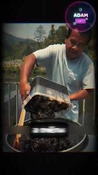 Вы думали, мед бывает только желтым? #naturefacts