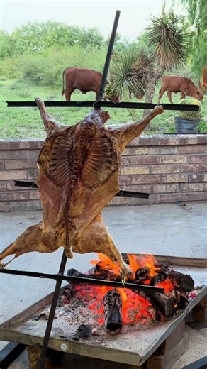 Roasted Lamb Over Open Fire Recipe with Salsa