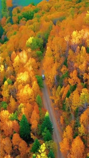 Nature of China | Golden Autumn in Xinjiang