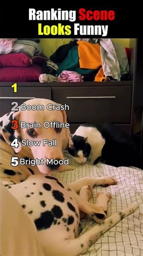 Ranking Scene Looks Too Funny 😂📊 #funnyranking #shorts || @MyDailyEpikVid