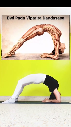 Deep Backbend • Full Body Stretch ✨#yoga #shortvideo #shorts #fitness #youtube