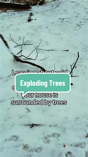 Exploding Trees: Understanding Cold Weather Effects