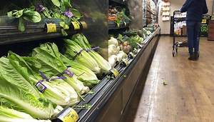 Romaine E. coli outbreaks pressure produce industry to step up safety