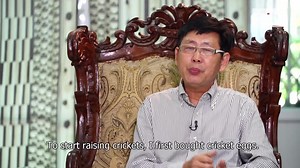 The Entomologist: Discover Fascinating Insect Life