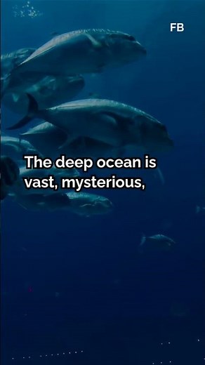 Over 80% Of The Ocean Remains Unexplored—Here’s Why That’s So Incredib