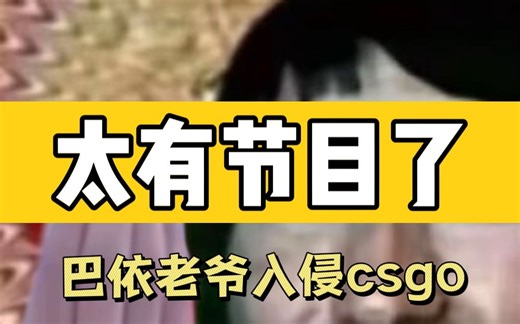 你们到底从哪学的