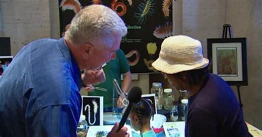 Visiting With Huell Howser: Bug Fair