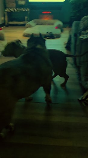 Dmkdavis (@dmkdavis2)’s videos with original sound - Dmkdavis