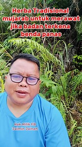 JIKA anda terkena benda panas rawat la dengan kadar segera menggunakan herba ini, agar kulit tidak mengelembung berair dan pecah yang amat menyakitkan #herbal #tips #tutorial #traditional #sihat | Jaimin Bin Jaineh