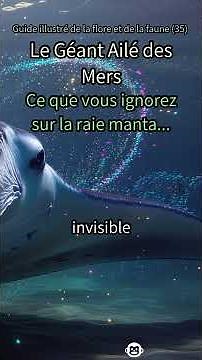 35. Manta Ray: The Gentle Giant That 'Flies' 🌊 Oceanic Mystery! #mantaray #ocean #marinelife