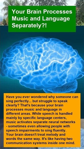 Your Brain Processes Music and Language Separately?! - OTOMOTIPS