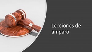 Cómo redactar una demanda de amparo — Constitucionalistas