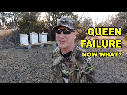 Outyard Inspections Continue: Queen Failure — Now What?