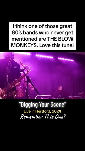 The Blow Monkeys Live Gig Experience in the 80s