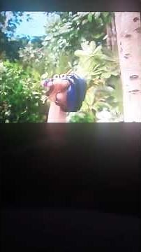 Oobi Out On A Nature Walk