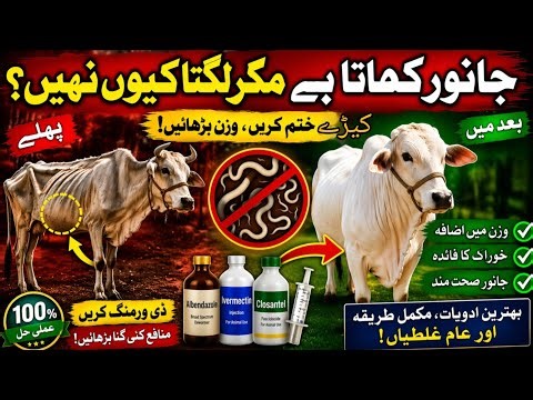 Livestock Deworming Explained | Drugs, Schedule & Common Mistakes | Full Guide for Farmers