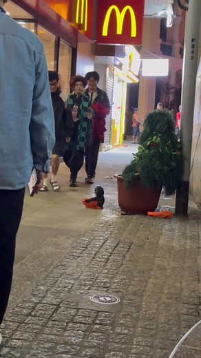 Happy Halloween💀👻🎃 | Rex Pun
