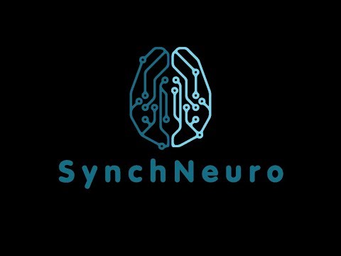 SynchNeuro: Overview